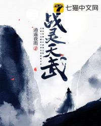 战灵天舞格斗家